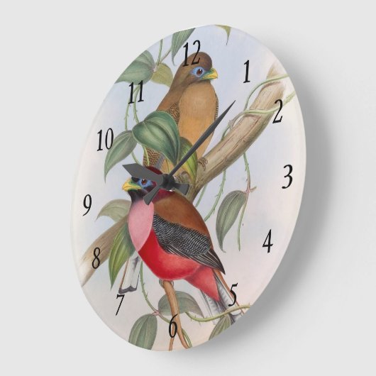美しいヴィンテージラブバードのアクリルウォールクロック ラージ壁時計 (傾斜)