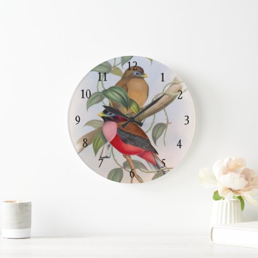 美しいヴィンテージラブバードのアクリルウォールクロック ラージ壁時計 (ホーム)