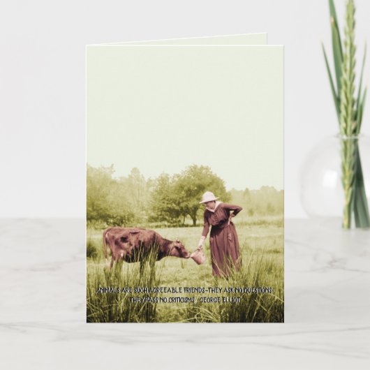 美しいヴィンテージ写真1910年の女性食べ物を与えの牛 カード (正面)