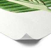 美しいヴィンテージ植物学イラストレーションポスター ポスター (角)