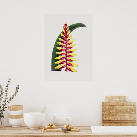 美しいヴィンテージ植物学イラストレーションポスター ポスター (キッチン)