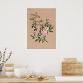 美しいヴィンテージ植物学イラストレーションポスター ポスター (キッチン)