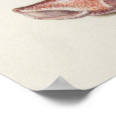 美しいヴィンテージ植物学イラストレーションポスター ポスター (角)