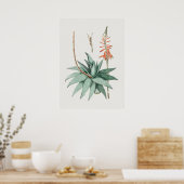 美しいヴィンテージ植物学イラストレーションポスター ポスター (キッチン)