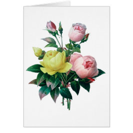 美しいヴィンテージ植物学イラストレーション、バラ