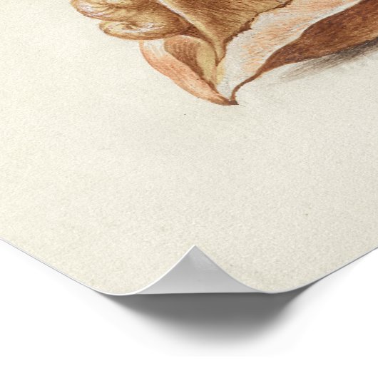 美しいヴィンテージ植物学イラストレーション ポスター (角)