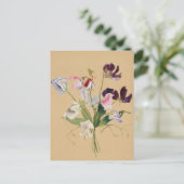美しいヴィンテージ植物性イラストレーションはがき ポストカード (スタンド正面)
