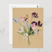 美しいヴィンテージ植物性イラストレーションはがき ポストカード (正面/裏面)