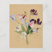 美しいヴィンテージ植物性イラストレーションはがき ポストカード (正面)