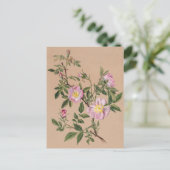 美しいヴィンテージ植物性イラストレーションはがき ポストカード (スタンド正面)