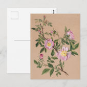 美しいヴィンテージ植物性イラストレーションはがき ポストカード (正面/裏面)