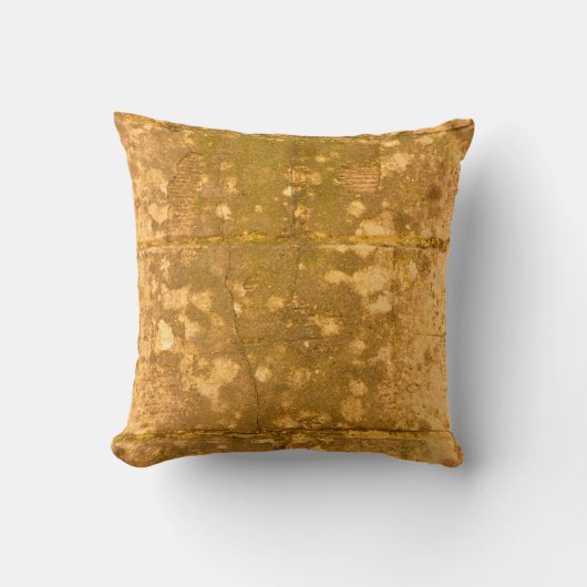 美しいヴィンテージ背景。抽象芸術グランジ10 クッション (正面)