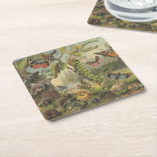 美しいヴィンテージ蝶の昆虫 スクエアペーパーコースター (アングル)