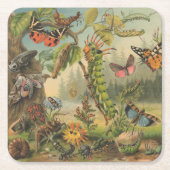 美しいヴィンテージ蝶の昆虫 スクエアペーパーコースター (正面)