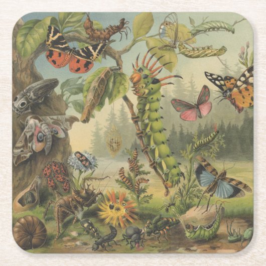美しいヴィンテージ蝶の昆虫 スクエアペーパーコースター (正面)