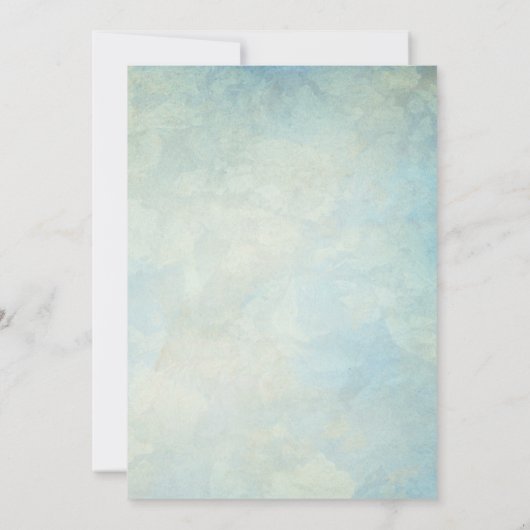 美しいヴィンテージ飛行機ボーイトイ誕生日 招待状 (裏面)