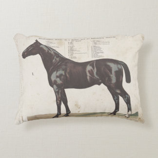 美しいヴィンテージ馬枕 アクセントクッション