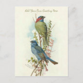 美しいヴィンテージ鳥が自分の挨拶を加える ポストカード (正面)
