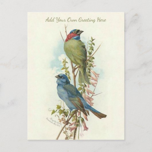 美しいヴィンテージ鳥が自分の挨拶を加える ポストカード (正面)