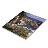 美しいヴェルナッツァの村 タイル (側面)