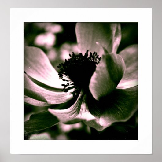 美しい一日だった・・・葬儀のポスター ポスター (正面)