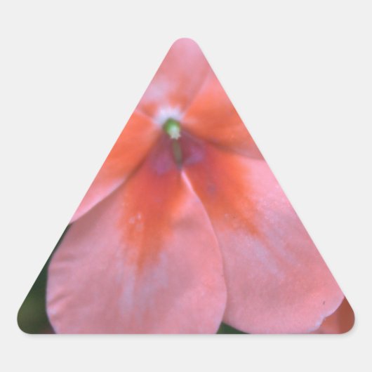 美しい一般的なピンクの庭の花。フローラ写真 三角形シール (正面)