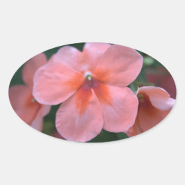 美しい一般的なピンクの庭の花。フローラ写真 楕円形シール