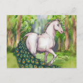 美しい一角孔雀 ポストカード (正面)