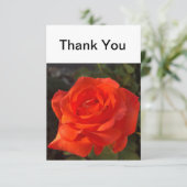 美しい上がりました サンキューカード (スタンド正面)