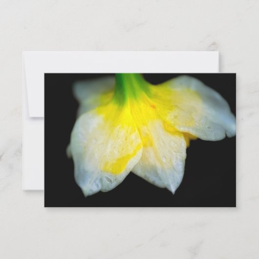 美しい下 サンキューカード (正面)