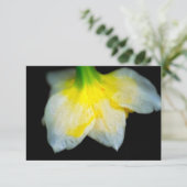 美しい下 サンキューカード (スタンド正面)