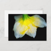 美しい下 サンキューカード (正面/裏面)