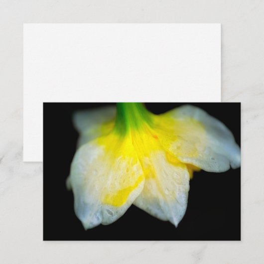 美しい下 サンキューカード (正面/裏面)