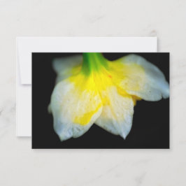 美しい下 サンキューカード