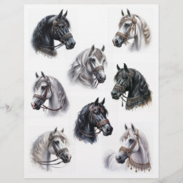 美しい乗り物を持つアラビア馬