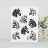 美しい乗り物を持つアラビア馬 (スタンド正面)