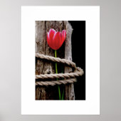 美しい人質ポスター ポスター (正面)