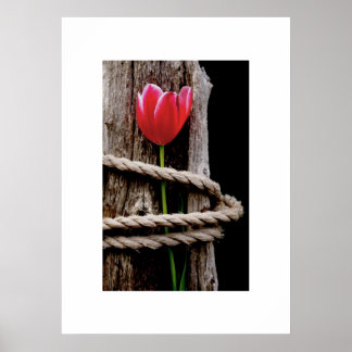 美しい人質ポスター ポスター