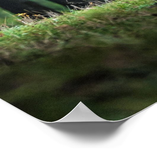 美しい休眠の鹿の自然風景 ポスター (角)