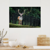 美しい休眠の鹿の自然風景 ポスター (キッチン)