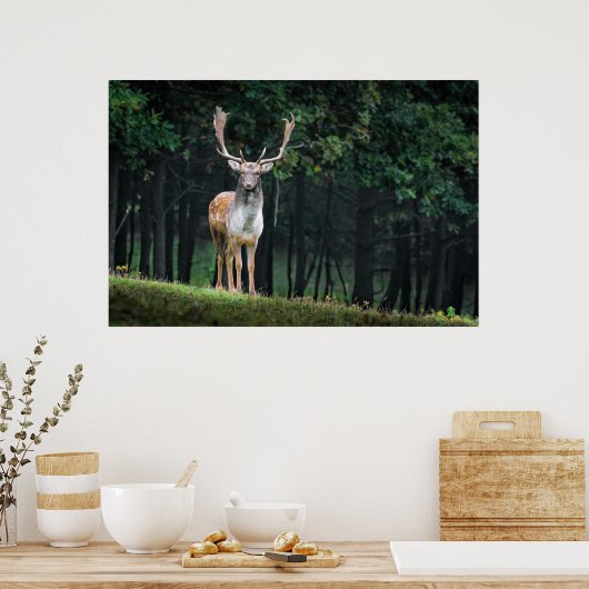 美しい休眠の鹿の自然風景 ポスター (キッチン)