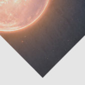 美しい先住民アメリカ人女性シアルフルムーン 薄葉紙 (詳細)