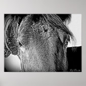 美しい光景 ポスター (正面)