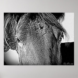 美しい光景 ポスター