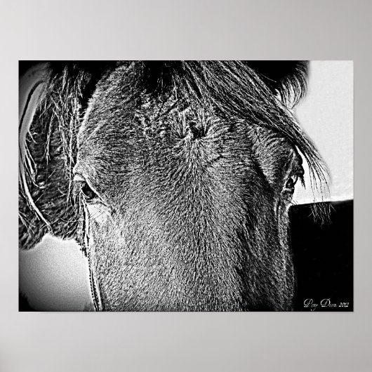 美しい光景 ポスター (正面)