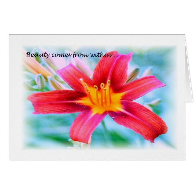 美しい内 (正面横)