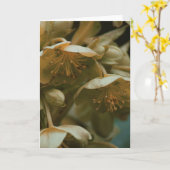 美しい写真フローラの花空白のカード カード (黄色い花)
