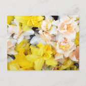 美しい写真春の水上に浮かぶ水仙 ポストカード (正面)