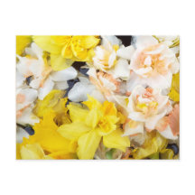 美しい写真春の水上に浮かぶ水仙