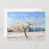 美しい冬かわいらし風雪の木 ポストカード (正面/裏面)